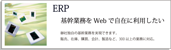 top_ERP.jpg